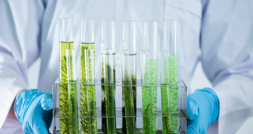 Visiongain Publishes Liquid Biofuels Market Report 2024-2034