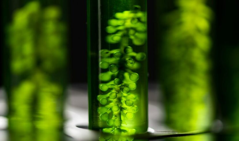 Artificial Photosynthesis Market