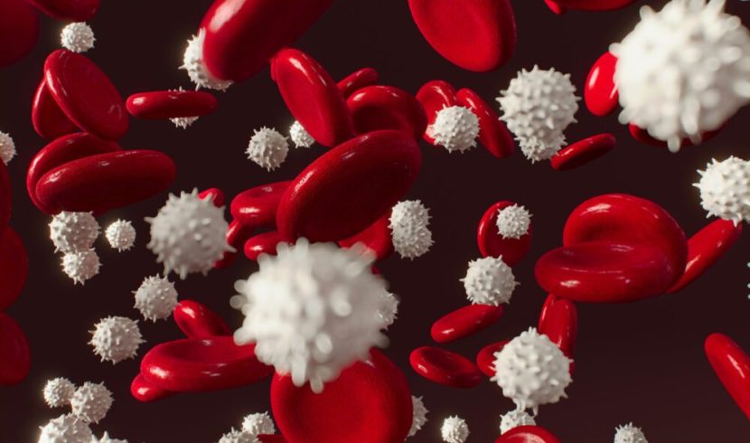 Synthetic Immunology Market