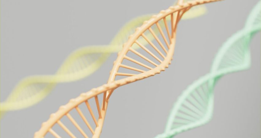 Synthetic Biology Market