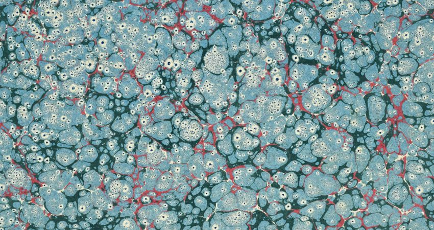 Antibody Drug Conjugates Market