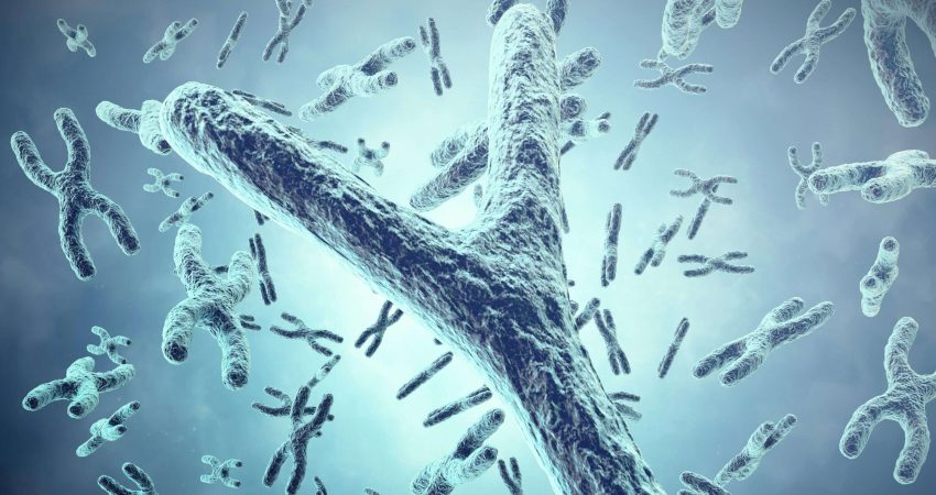 Biologics Market